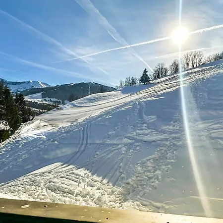 Orchidee Sur Les Pistes Alpehytte